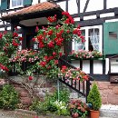 FGM 031 Motzko Josef